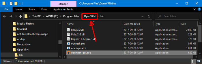 Win 10 OpenVPN Installation